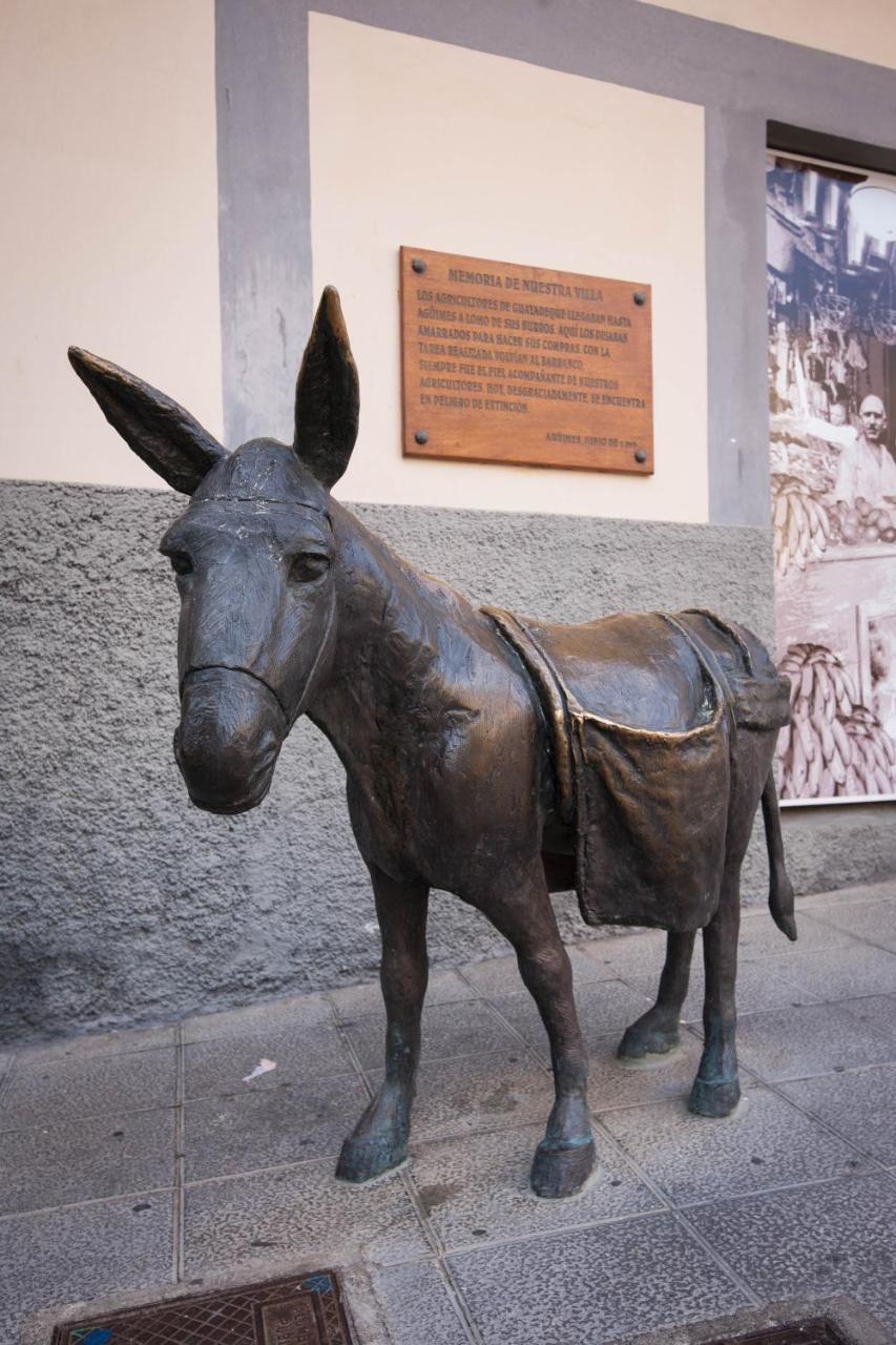 Casa Rural El Burro Agüimes 외부 사진